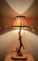 <b>Anis étoilé</b>