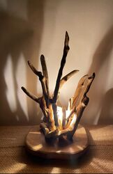 <b>Vess Fire</b>