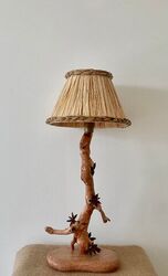 <b>Anis étoilé</b>