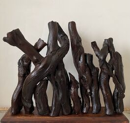 <b>Danseurs</b>